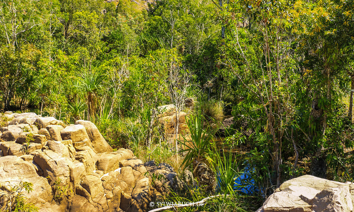 Barramundi Creek,Kakadu Nation Park,Waterfall,Maguk,Plungepool,Northern Territory,Australia,born4travel.de