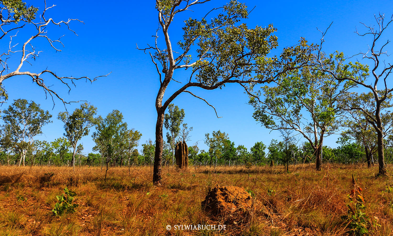 Kakadu Hwy,Kakadu Nation Park,Waterfall,Maguk,Plungepool,Northern Territory,Australia,born4travel.de