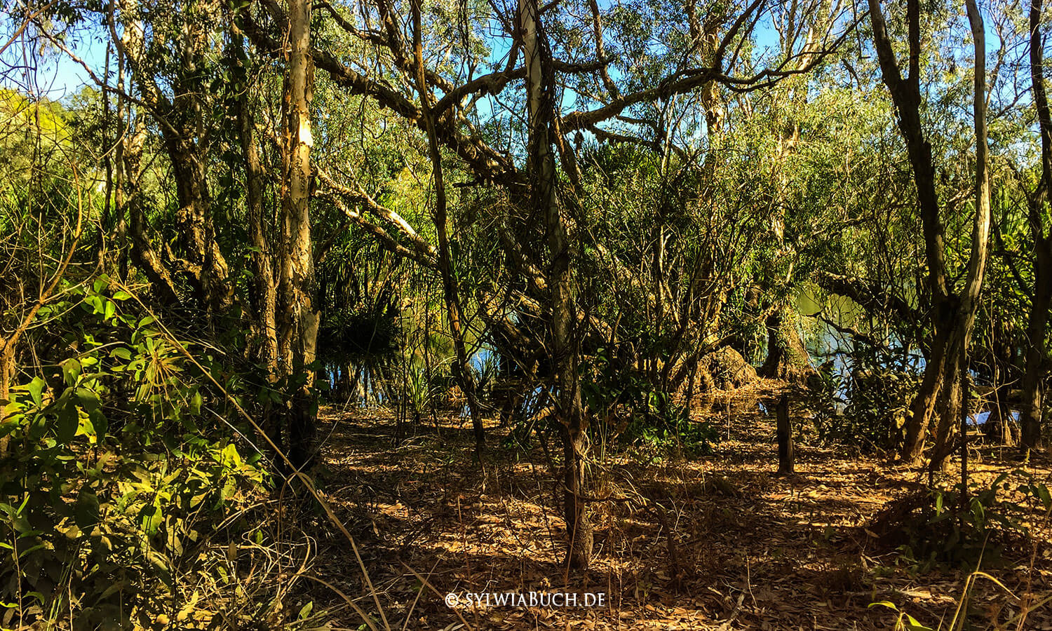 Jim Jim Billabong, Kakadu National Park,Northern Territory,Australien,born4travel.de