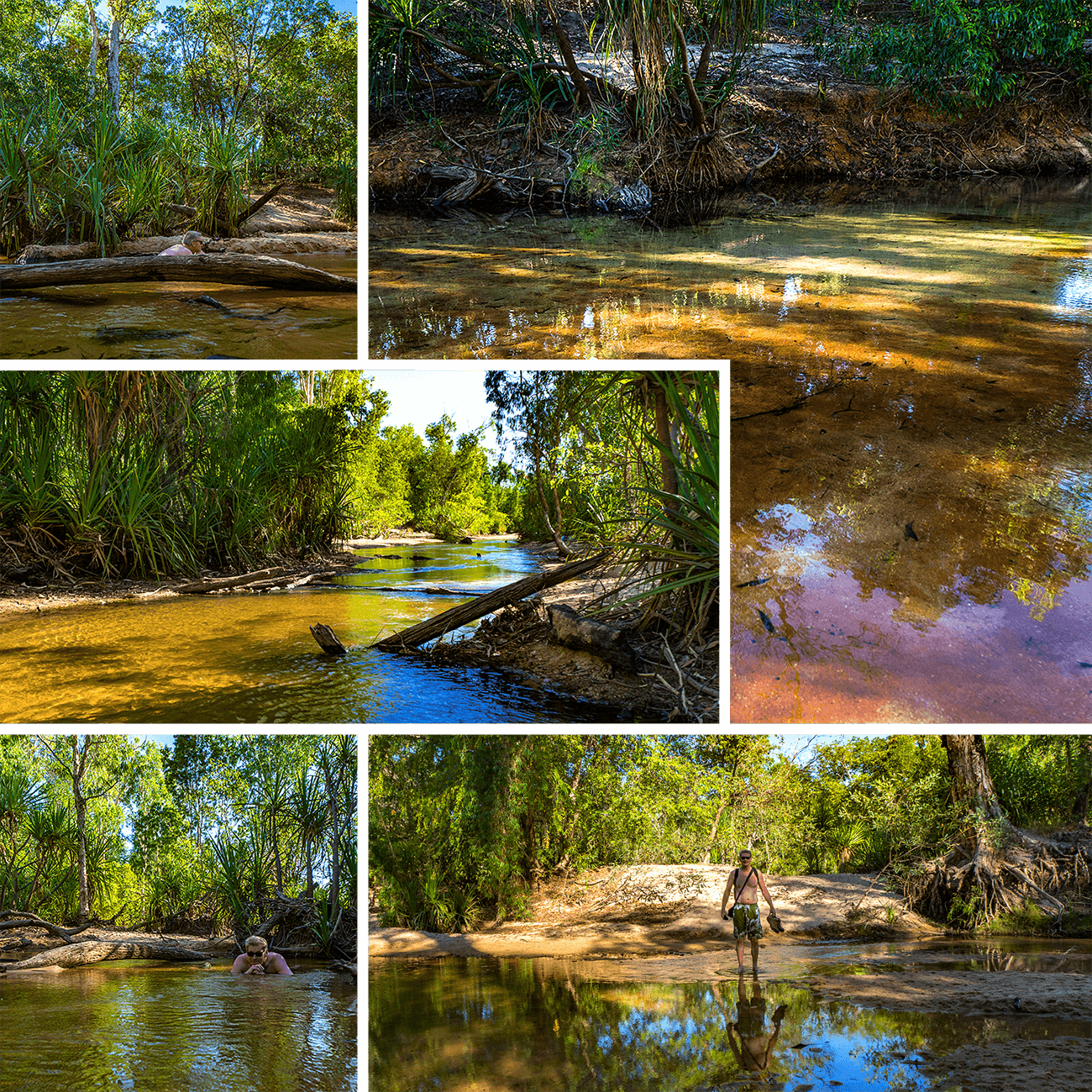 Douglas Hot Springs,Pine Creek,Northern Territory,Australia,born4travel.de