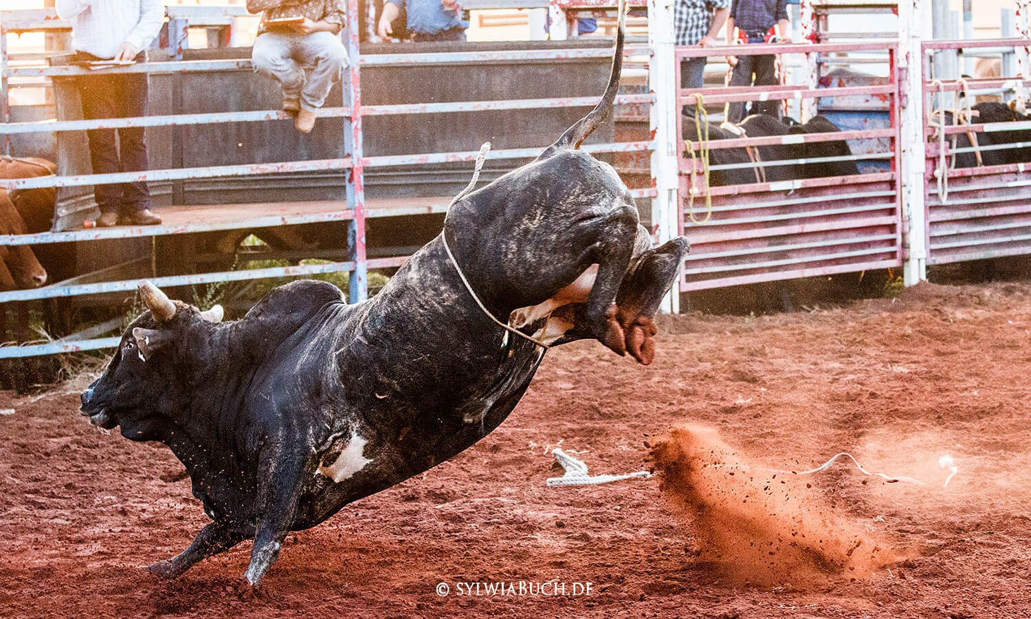 Mataranka Rodeo,Australia,Northern Territory,born4travel.de
