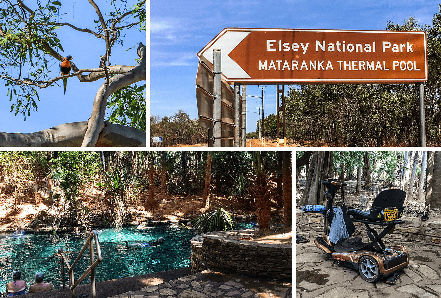 Mataranka Springs Thermal Pools,Australia,Northern Territory,born4travel.de