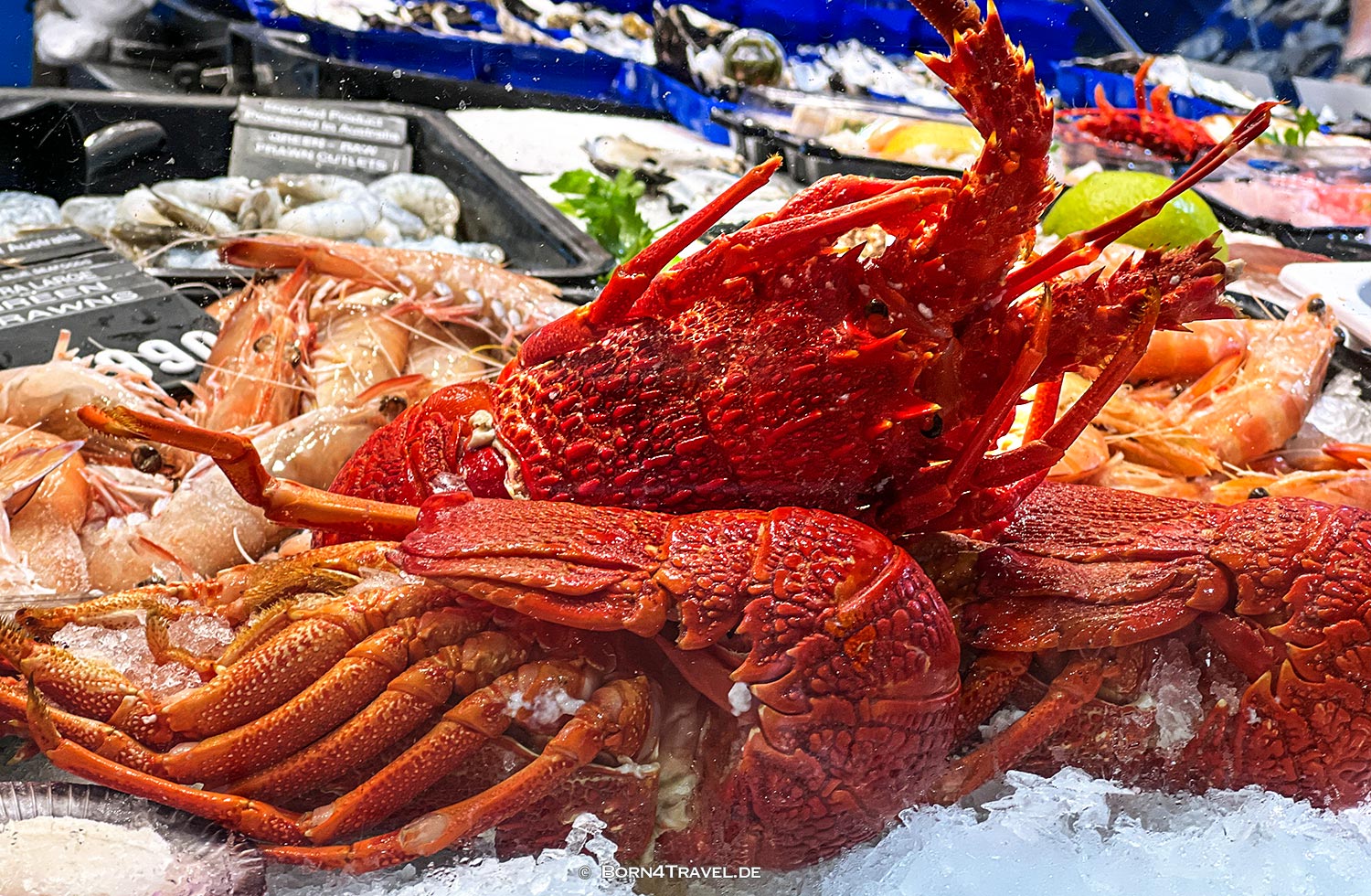 Queen Victoria Market in Melbourne,Victoria,born4travel.de