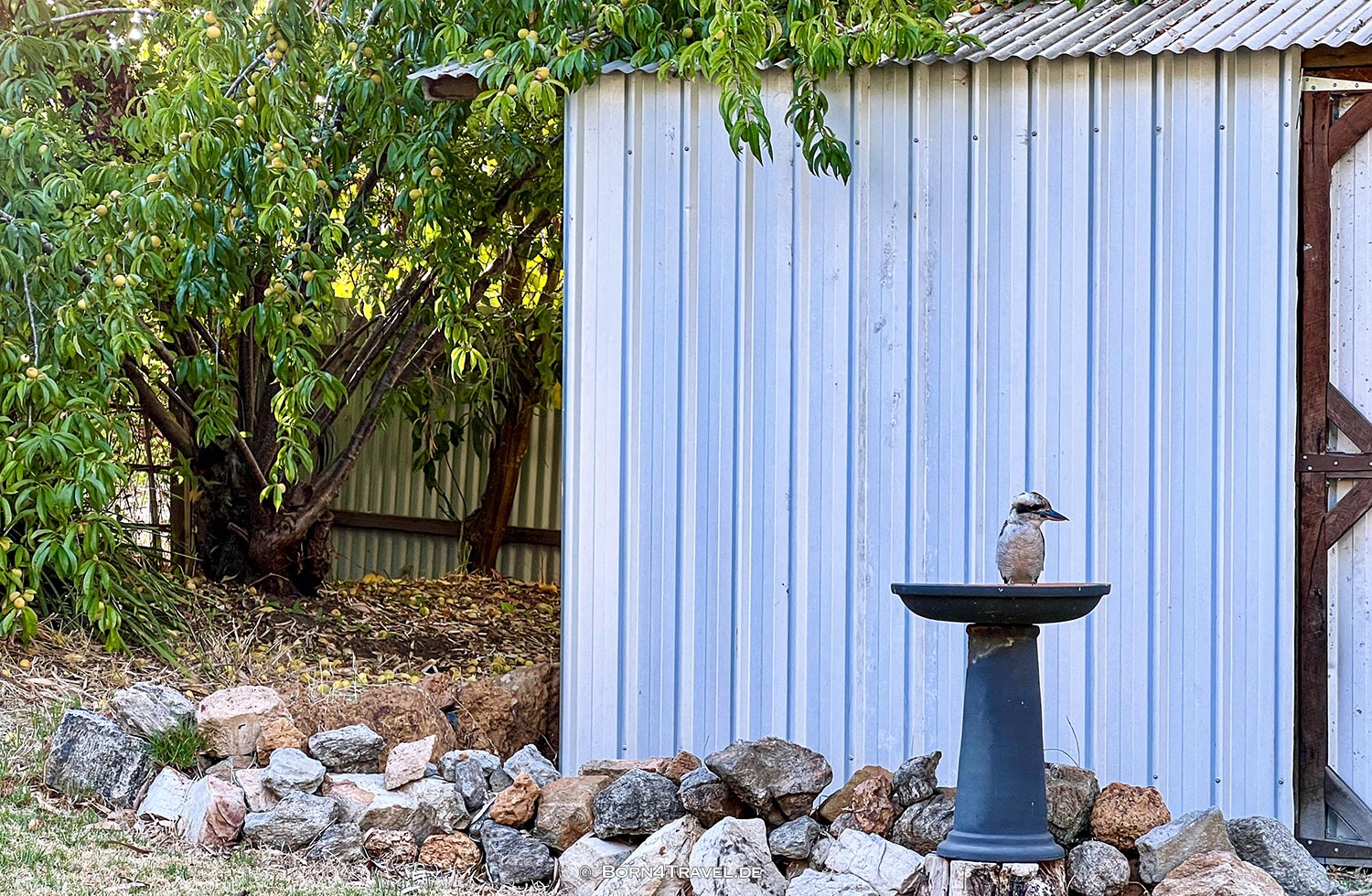 Millers by trhe Lake,Quinninup,Western Australia,born4travel.de Millers by trhe Lake,Quinninup,Western Australia,born4travel.de