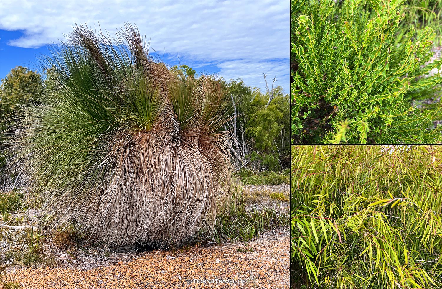D'Entercastreaux National Park,Western Australia,born4travel.de D'Entercastreaux National Park,Western Australia,born4travel.de