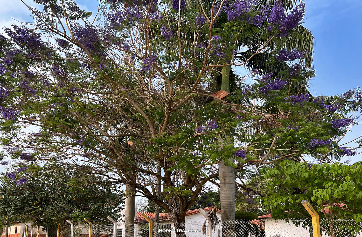 SAN JOSÉ DE CHIQUITOS,Llanos de Chiquitos,Chiquitania,Bolivien,born4travel.de SAN JOSÉ DE CHIQUITOS,Llanos de Chiquitos,Chiquitania,Bolivien,born4travel.de