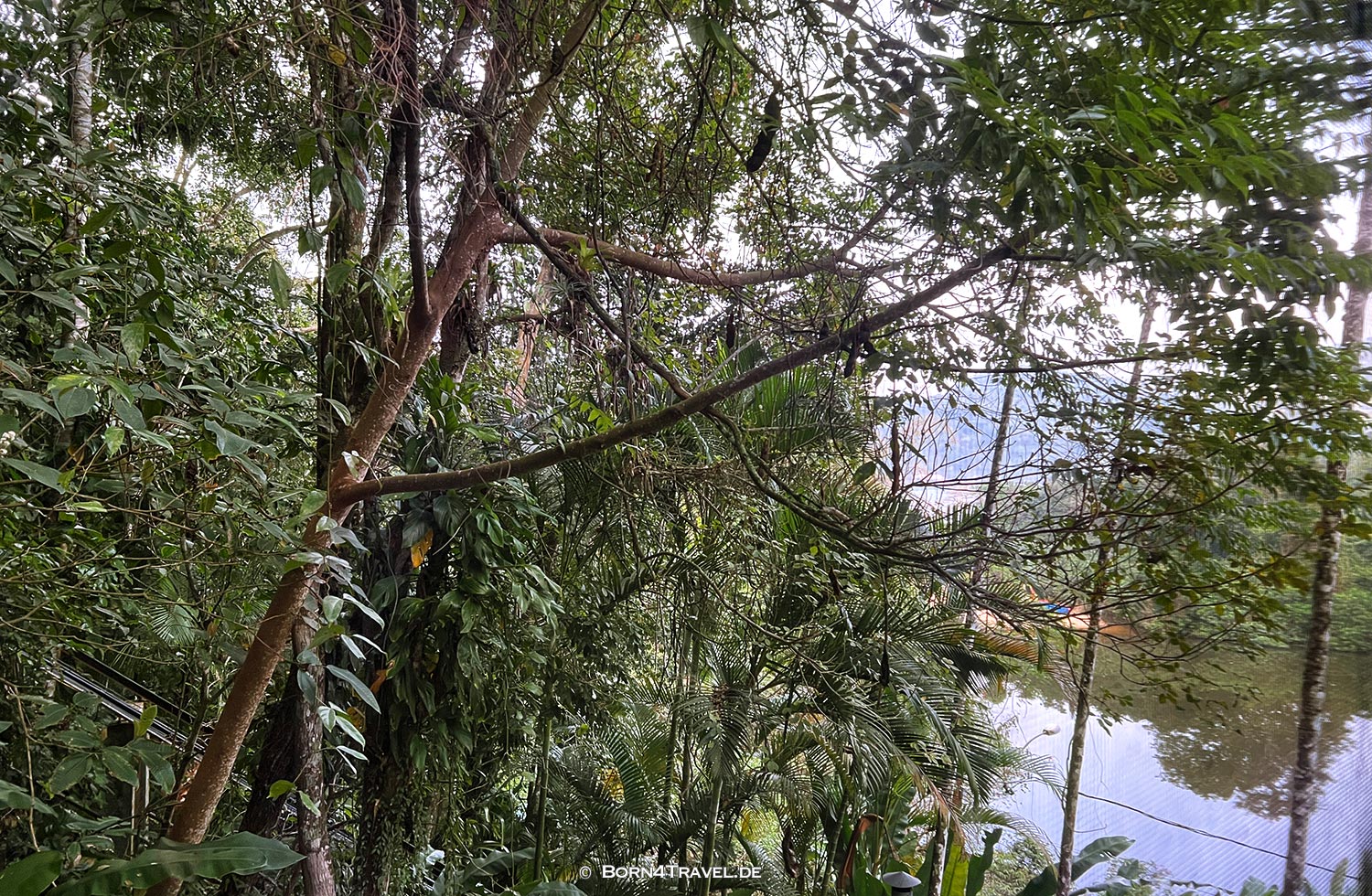 Loft in Ubatuba,Brasilien2024,born4travel.de