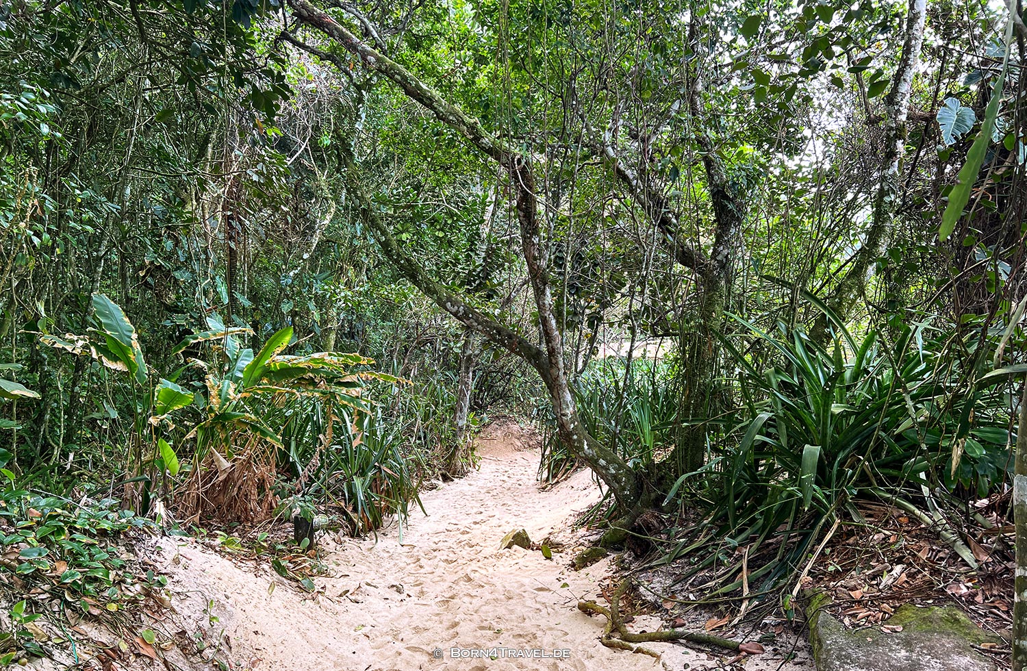 Praia do Prumirim,Brasilien2024,born4travel.de