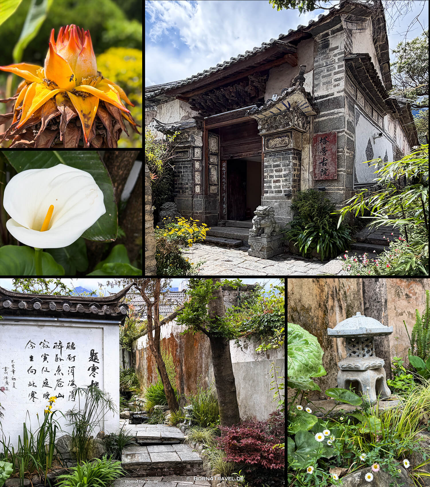 Dali,Yunnan,China2026,born4travel.de Dali,Yunnan,China2026,born4travel.de