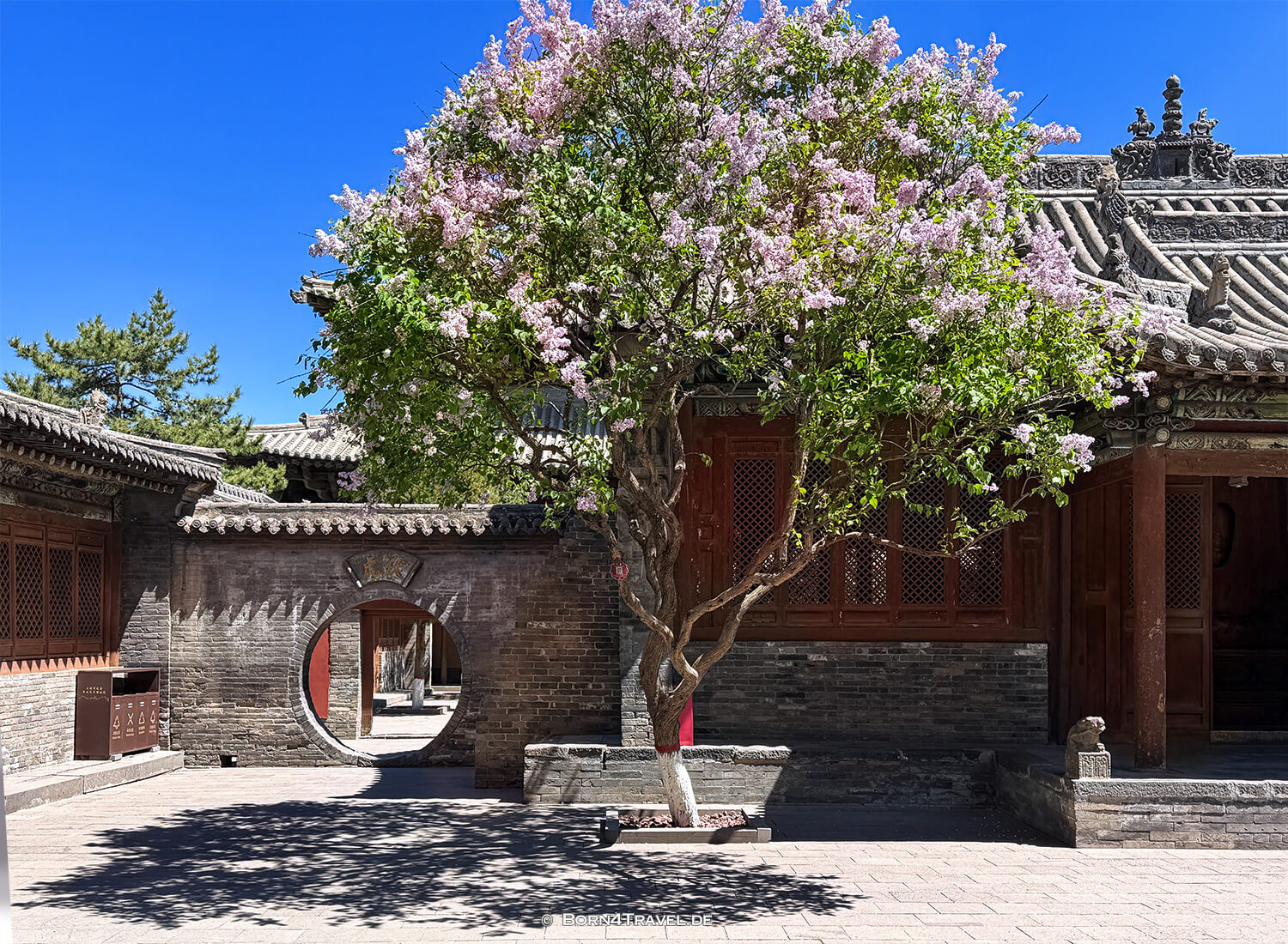 Hanfu,Huayan Tempel,Datong,China2026,born4travel.de Hanfu,Huayan Tempel,Datong,China2026,born4travel.de
