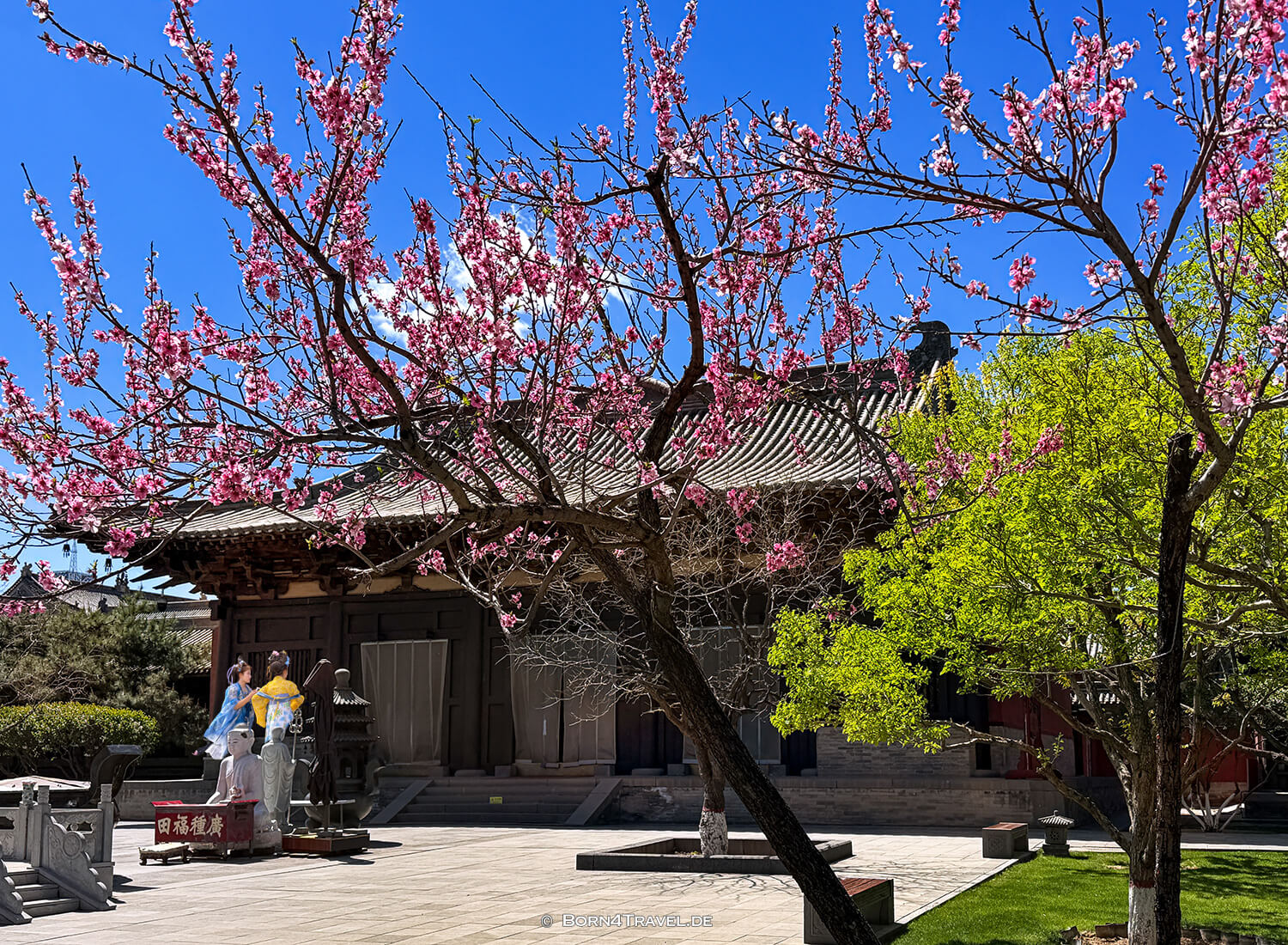 Hanfu,Huayan Tempel,Datong,China2026,born4travel.de Hanfu,Huayan Tempel,Datong,China2026,born4travel.de