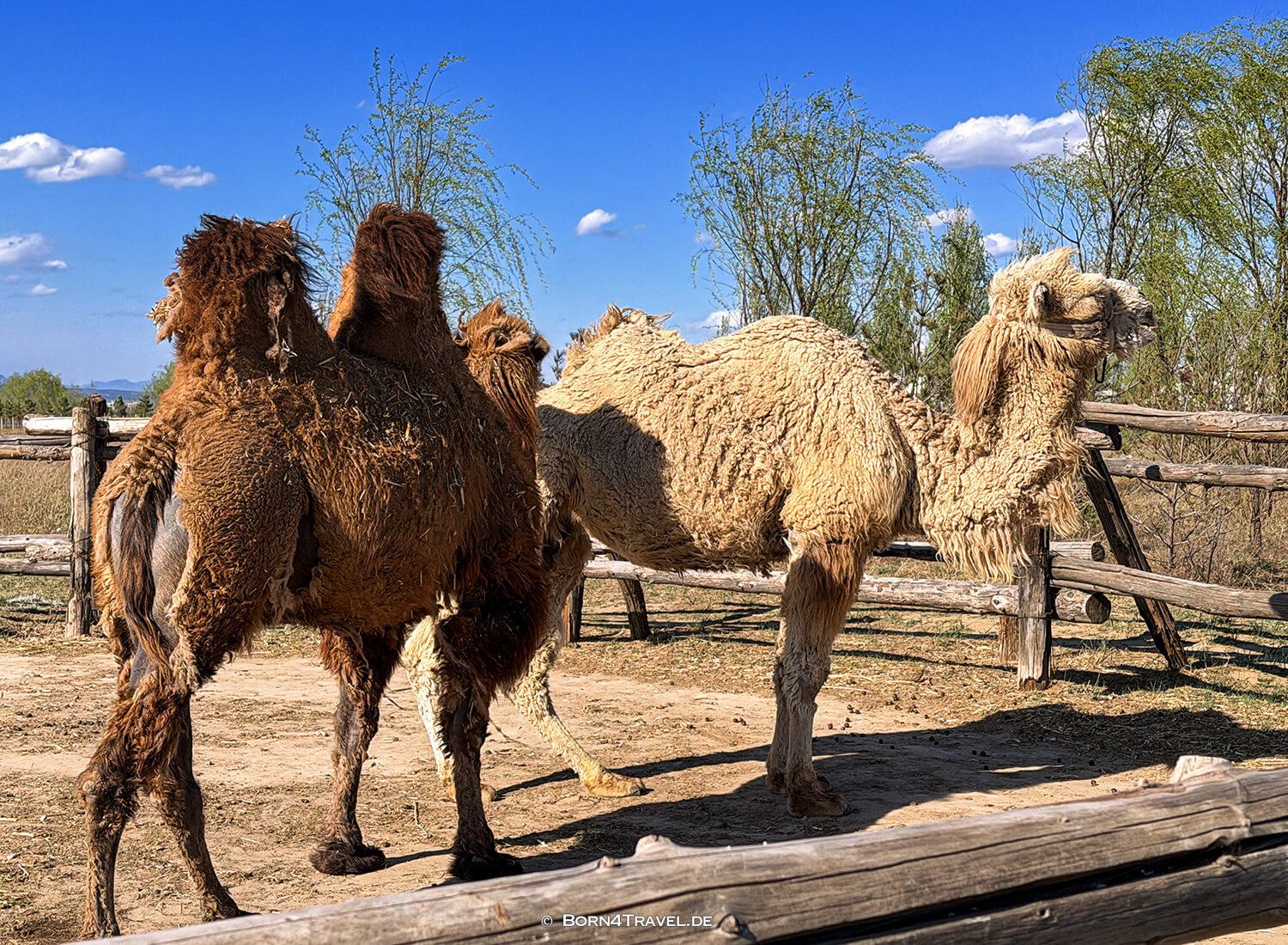 Rote Steine in Tulin,Datong,China2026,born4travel.de Rote Steine in Tulin,Datong,China2026,born4travel.de