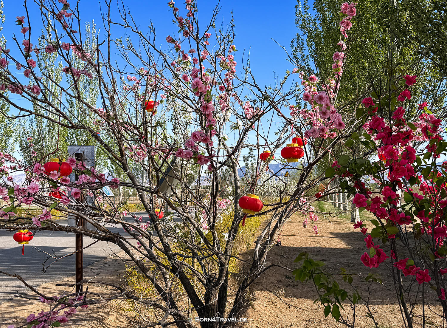 Rote Steine in Tulin,Datong,China2026,born4travel.de Rote Steine in Tulin,Datong,China2026,born4travel.de