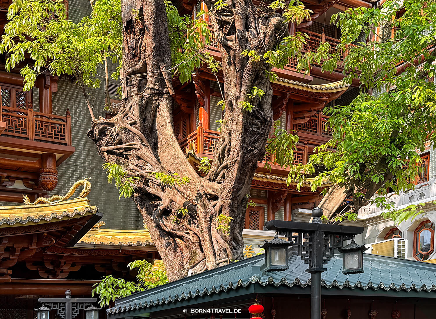Dafo Temple,Guangzhou,China2026,born4travel.de Dafo Temple,Guangzhou,China2026,born4travel.de