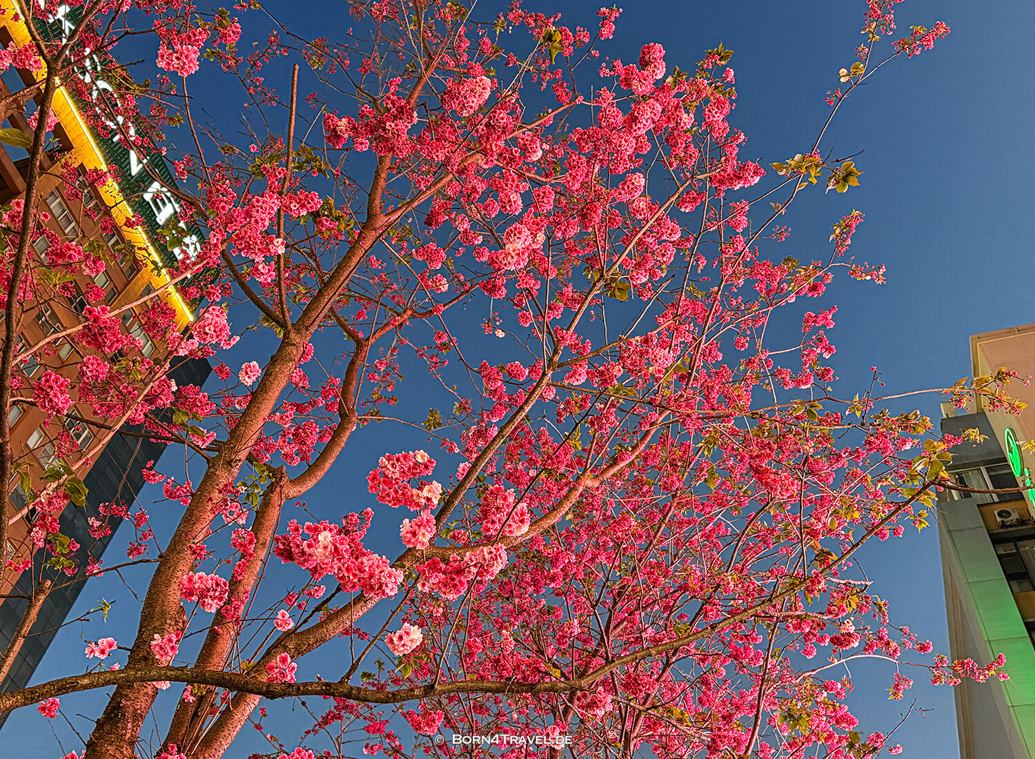 Nanping Street,Kunming,Yunnan,China2026,born4travel.de Nanping Street,Kunming,Yunnan,China2026,born4travel.de