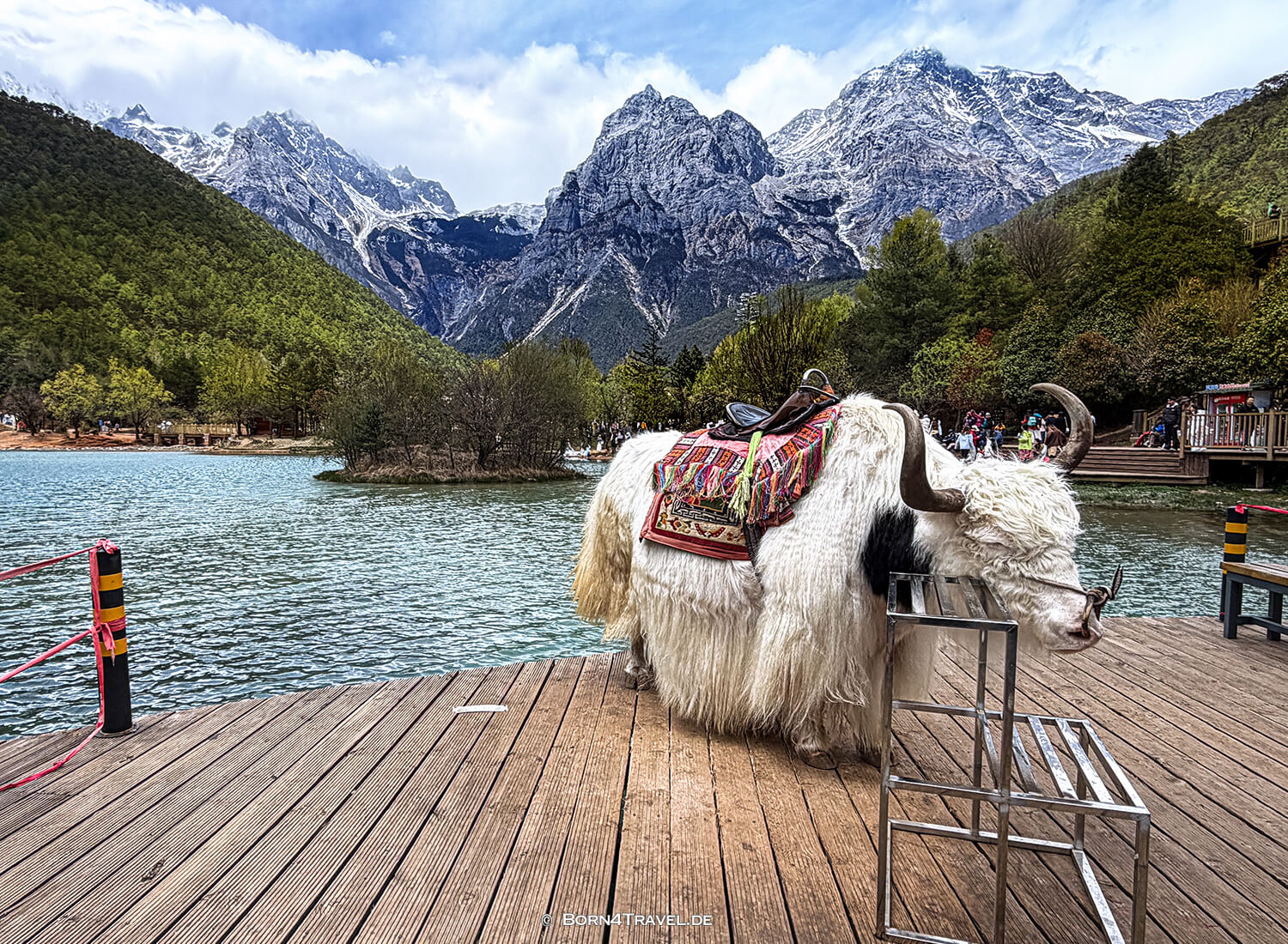 Blue Moon Valley,Lijiang,Yunnan,China2026,born4travel.de Blue Moon ValleyLijiang,Yunnan,China2026,born4travel.de