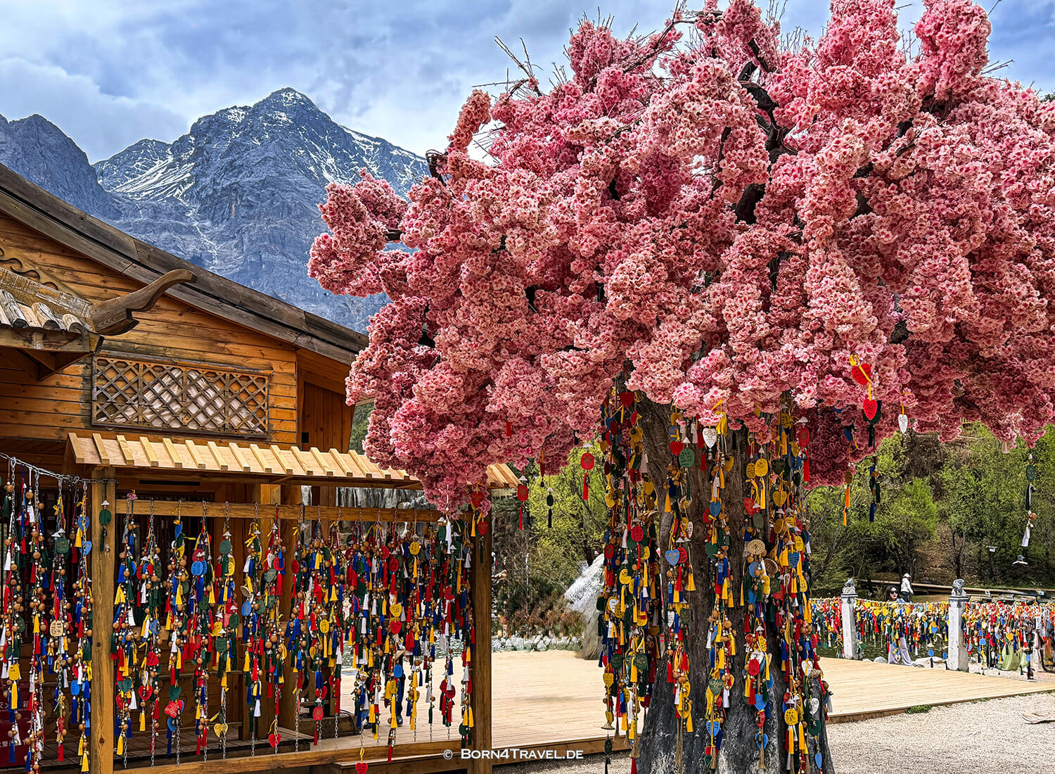 Blue Moon Valley,Lijiang,Yunnan,China2026,born4travel.de Blue Moon ValleyLijiang,Yunnan,China2026,born4travel.de