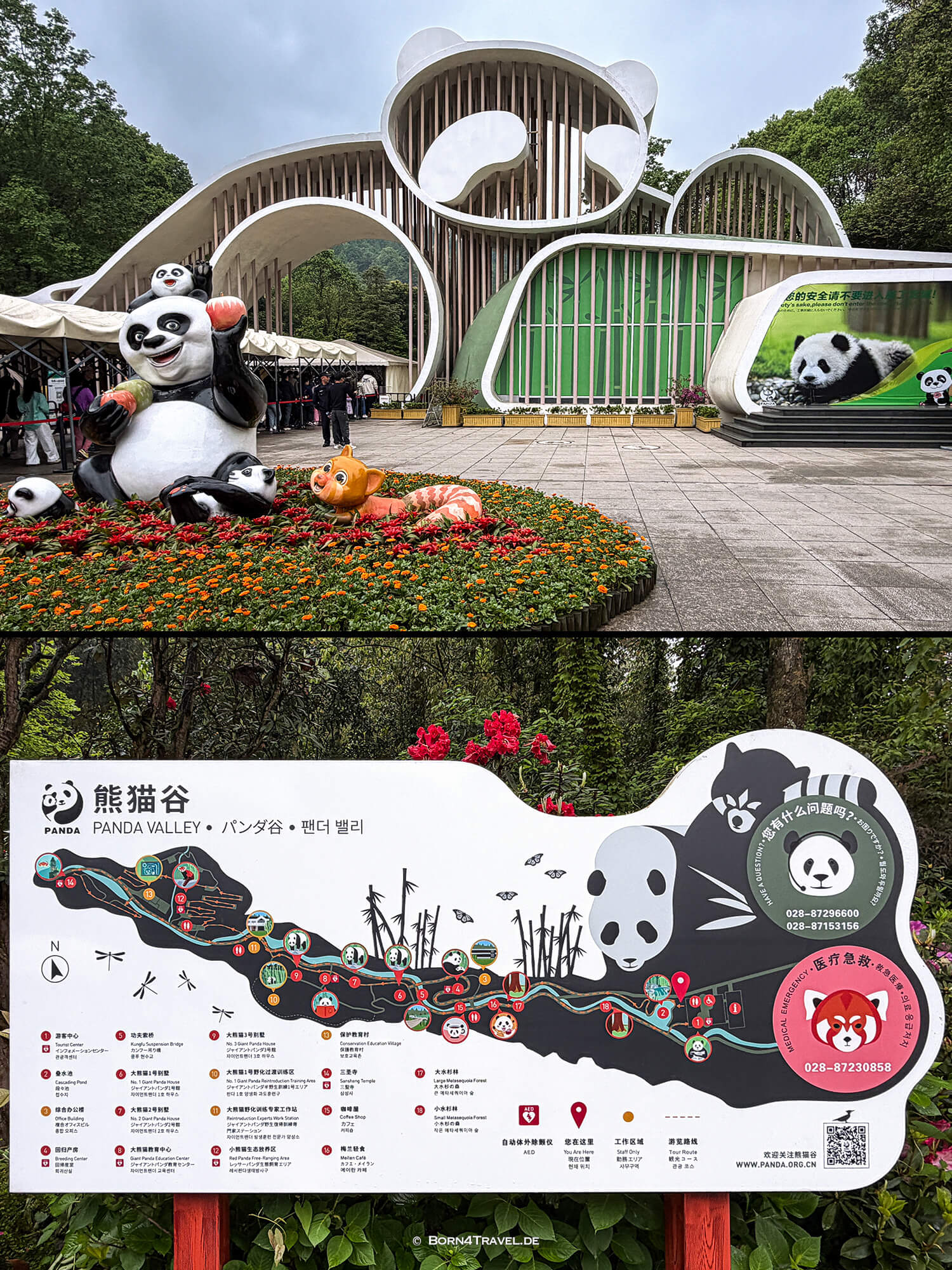 Dujiangyan Panda Park,Panda Valley, Chengdu,China2026,born4travel.de Dujiangyan Panda Park,Panda Valley, Chengdu,China2026,born4travel.de