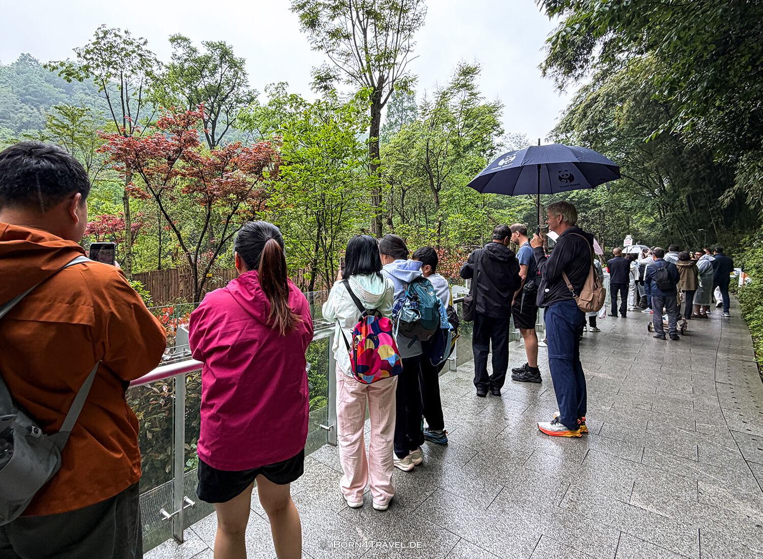 Dujiangyan Panda Park,Panda Valley, Chengdu,China2026,born4travel.de Dujiangyan Panda Park,Panda Valley, Chengdu,China2026,born4travel.de