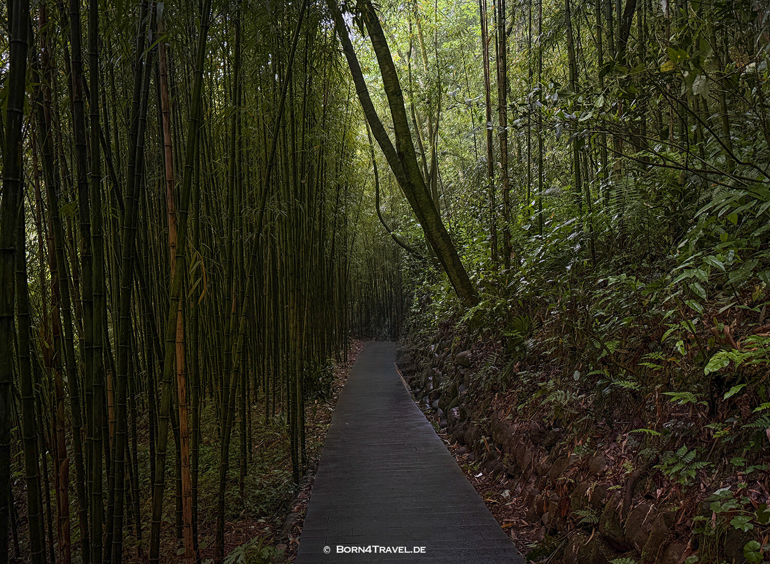 Sansheng Tempel,Dujiangyan Panda Park,Panda Valley, Chengdu,China2026,born4travel.de Sansheng Tempel,Dujiangyan Panda Park,Panda Valley, Chengdu,China2026,born4travel.de