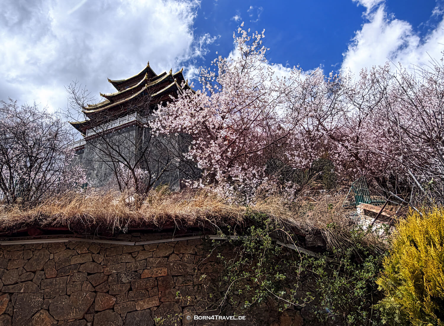 Guishan Tempel,Shangri-la,YunnannChina2026,born4travel.de Guishan Tempel,Shangri-la,YunnannChina2026,born4travel.de