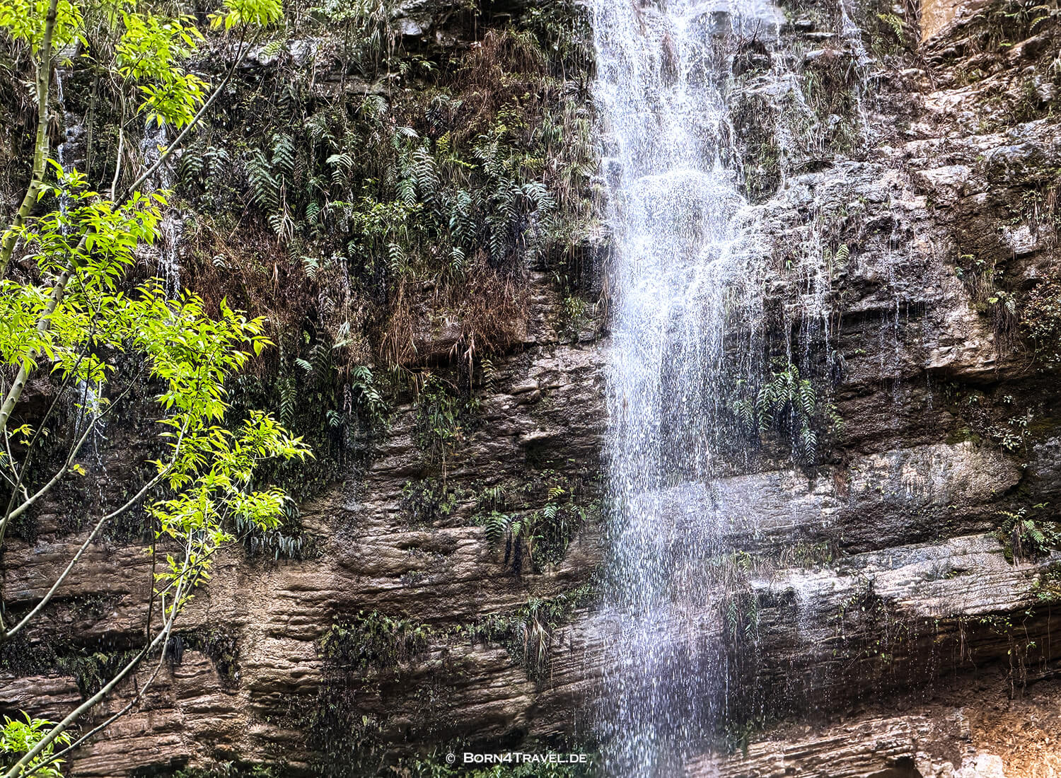 Three Natural Bridges (天生三桥) im Wulong-Karstgebiet.,China2026,born4travel.de Three Natural Bridges (天生三桥) im Wulong-Karstgebiet.,China2026,born4travel.de