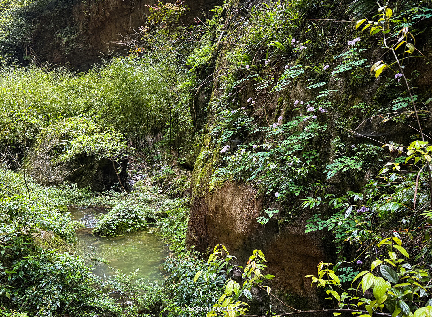 Three Natural Bridges (天生三桥) im Wulong-Karstgebiet.,China2026,born4travel.de Three Natural Bridges (天生三桥) im Wulong-Karstgebiet.,China2026,born4travel.de
