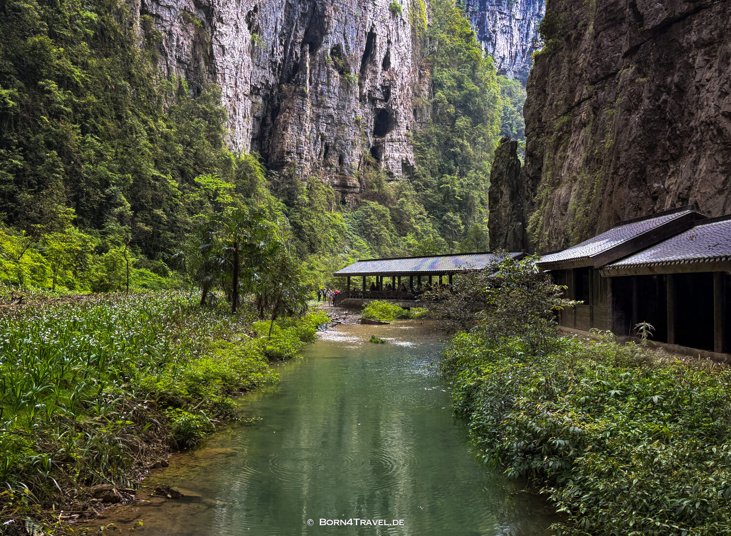 Three Natural Bridges (天生三桥) im Wulong-Karstgebiet.,China2026,born4travel.de Three Natural Bridges (天生三桥) im Wulong-Karstgebiet.,China2026,born4travel.de