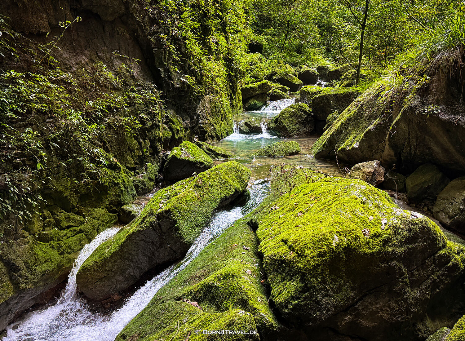 羊水河 (Yángshuǐ Hé) im Wulong-Karstgebiet.,China2026,born4travel.de 羊水河 (Yángshuǐ Hé) im Wulong-Karstgebiet.,China2026,born4travel.de