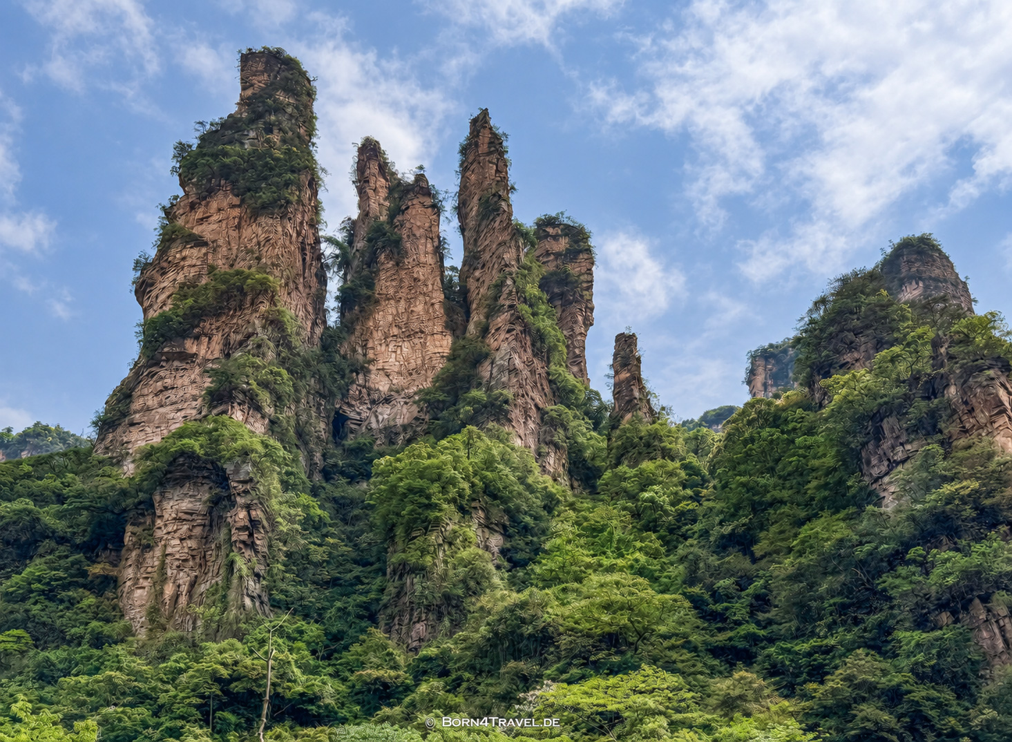 Bailong Elevato im Zhangjiajie,China2026,born4travel.de Bailong Elevato im ZhangjiajieChina2026,born4travel.de