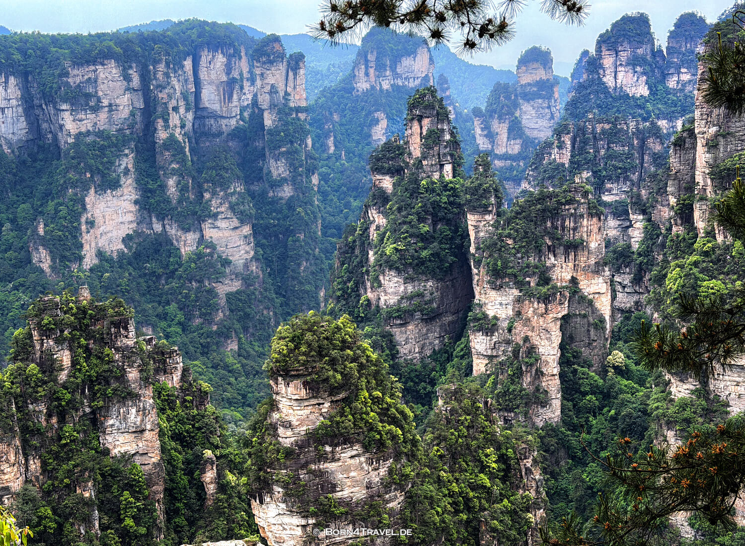 Yuanjiajie Scenic Area< im Zhangjiajie,China2026,born4travel.de Yuanjiajie Scenic Area< im ZhangjiajieChina2026,born4travel.de