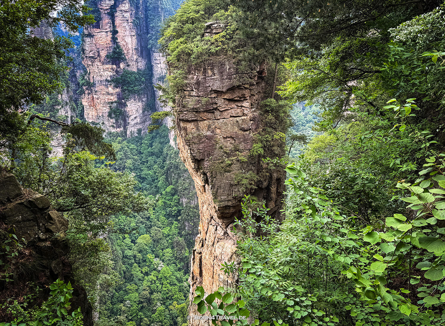 Yuanjiajie Scenic Area< im Zhangjiajie,China2026,born4travel.de Yuanjiajie Scenic Area< im ZhangjiajieChina2026,born4travel.de