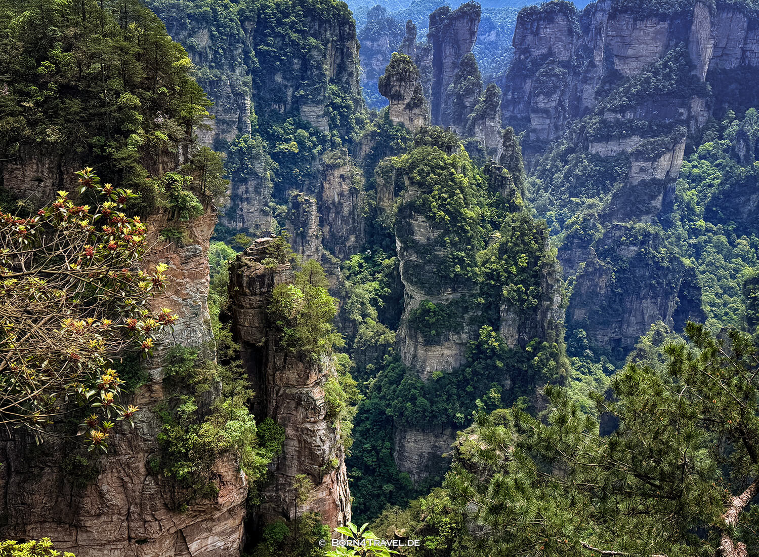 Yuanjiajie Scenic Area< im Zhangjiajie,China2026,born4travel.de Yuanjiajie Scenic Area< im ZhangjiajieChina2026,born4travel.de