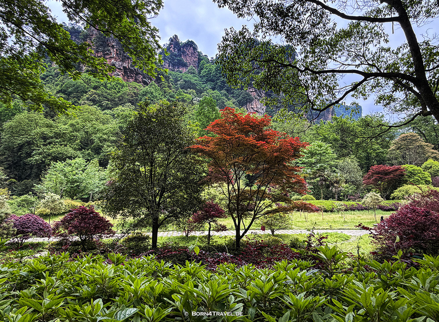 Huangshizhai Scenic Area in Zhangjiajie,China2026,born4travel.de Huangshizhai Scenic Area in Zhangjiajie,China2026,born4travel.de