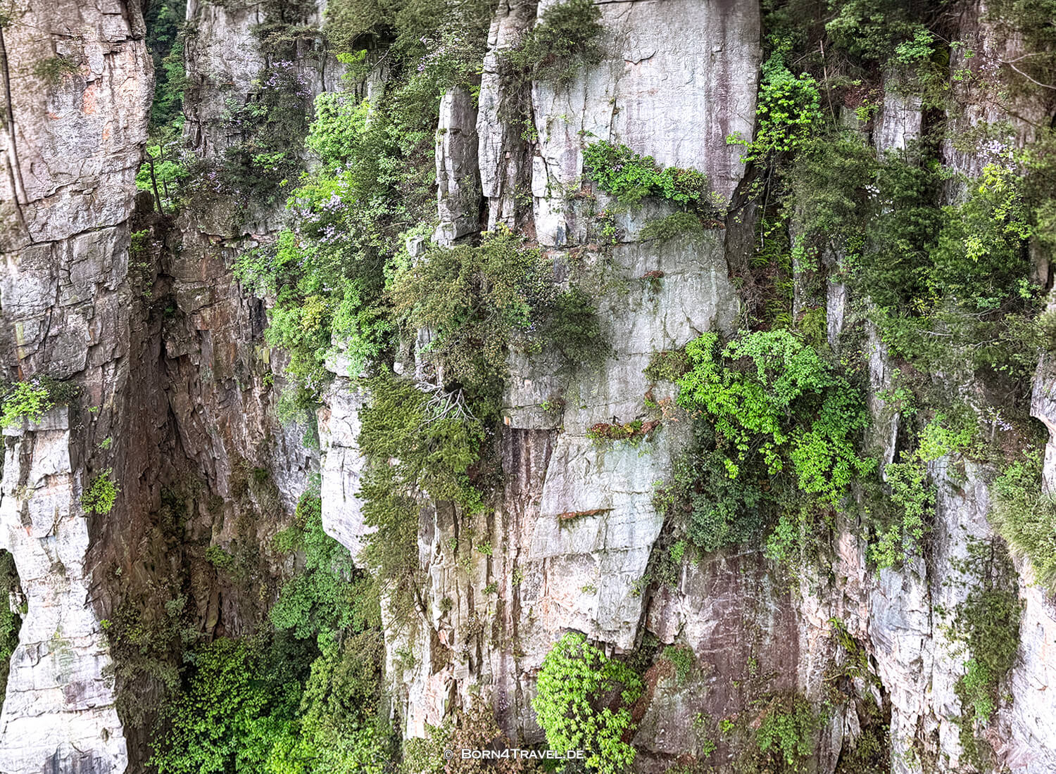 Tianzi-Mountain-Seilbahn,Zhangjiajie National Forest Park ,China2026,born4travel.de Tianzi-Mountain-Seilbahn,Zhangjiajie National Forest Park,China2026,born4travel.de