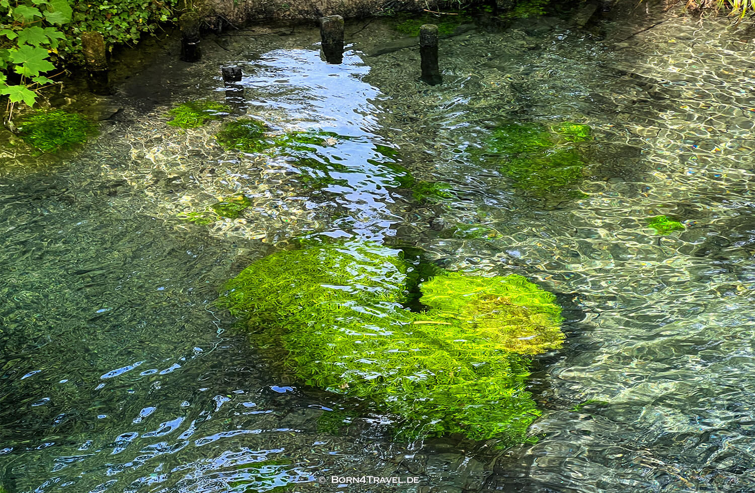 Parc de la Bouzaise,Beaune,Frankreich,born4travel.de