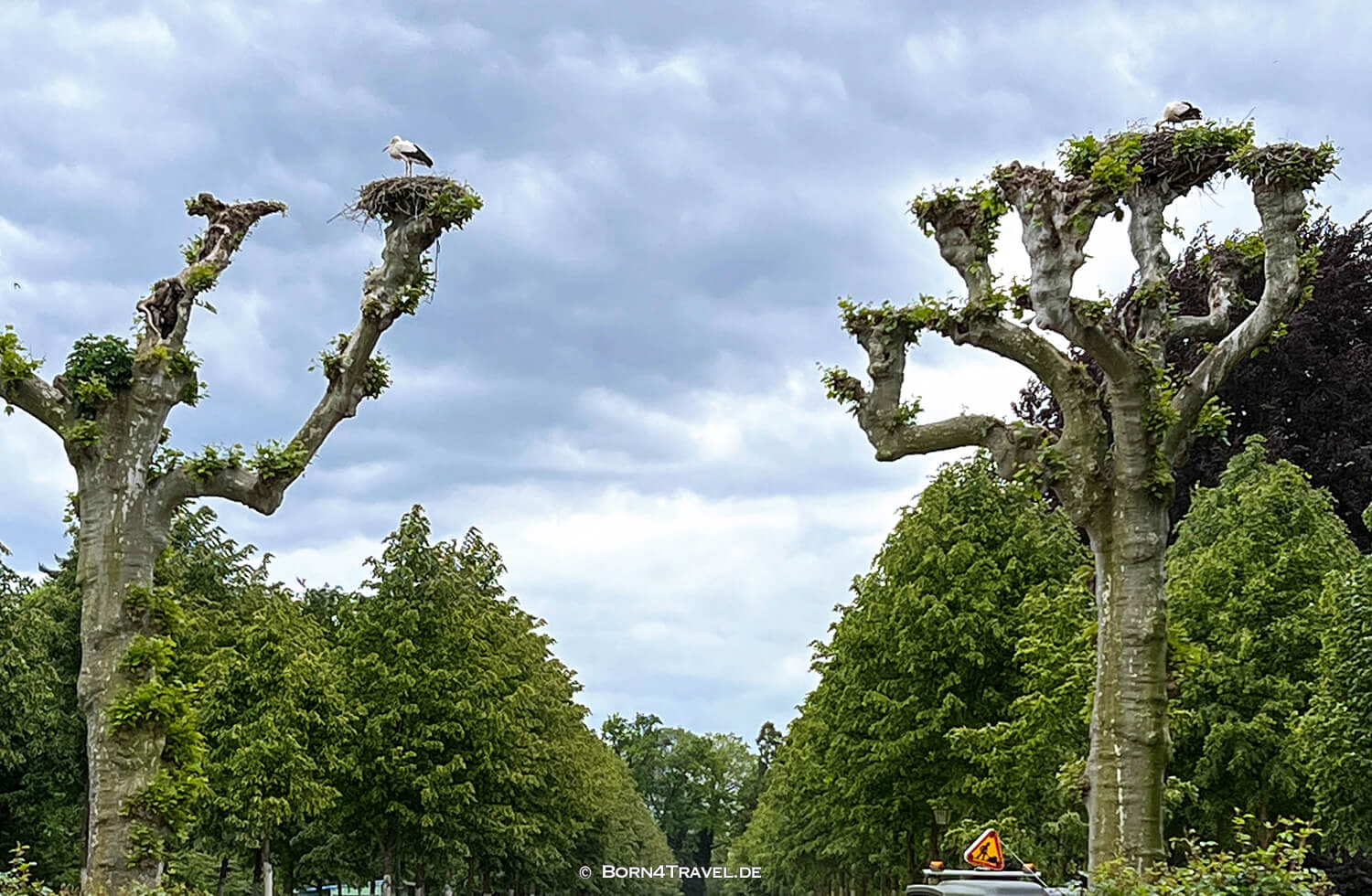Parc de L'Orangerie in strasbourg,born4travel.de