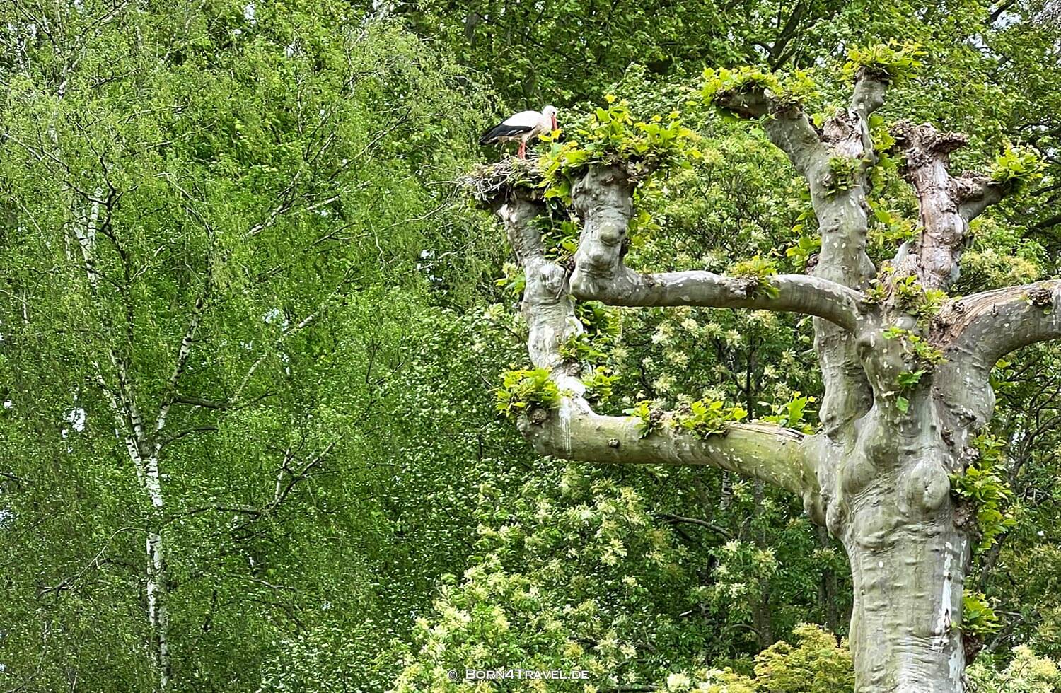 Parc de L'Orangerie in strasbourg,born4travel.de