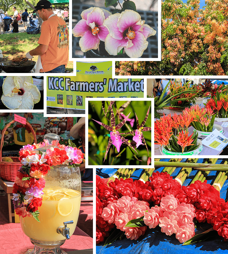 Farmers Market,Honolulu