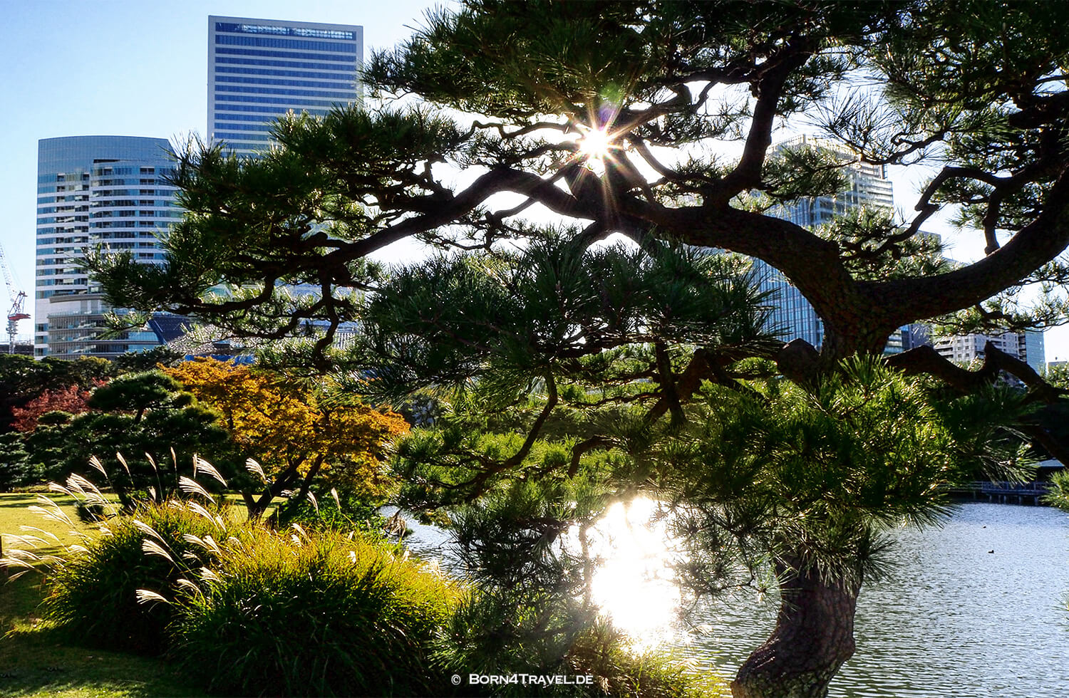 HamaRikyu Onshi Teien,Tokyo by bike 2019,born4travel.de