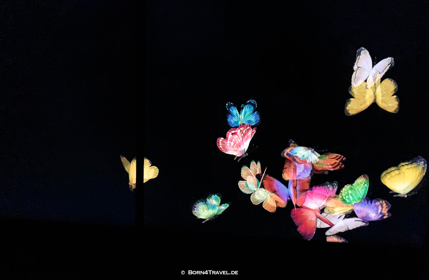 TeamLab Tokyo 2019,born4travel.de