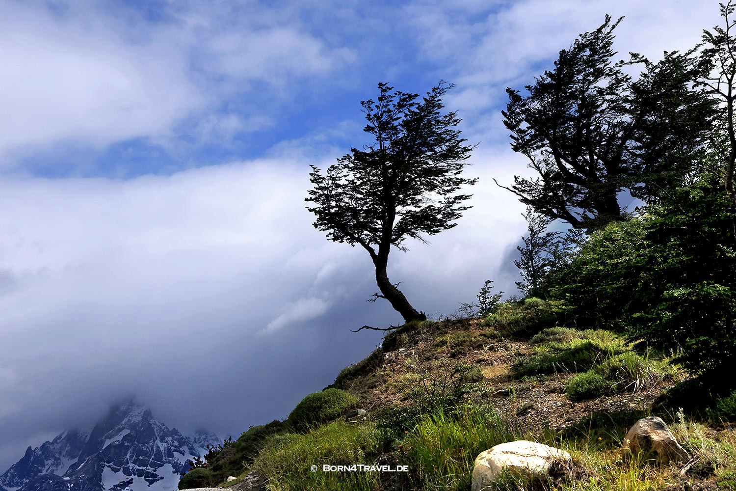 Mirador Los Andes,Torres del Paine,Chile,Patagonia,born4travel.de Mirador Los Andes,Torres del Paine,Chile,Patagonia,born4travel.de