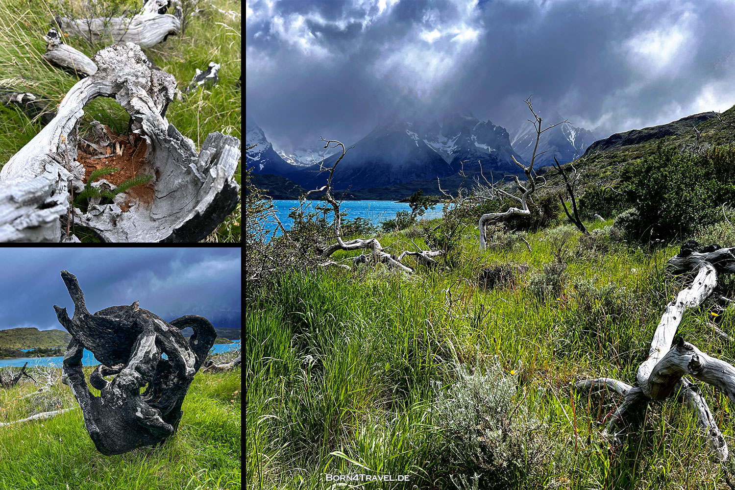 Mirador Los Andes,Torres del Paine,Chile,Patagonia,born4travel.de Mirador Los Andes,Torres del Paine,Chile,Patagonia,born4travel.de
