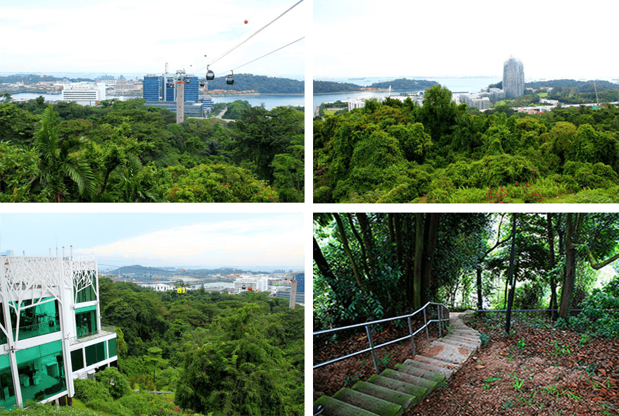 Singapore,Murang Trail