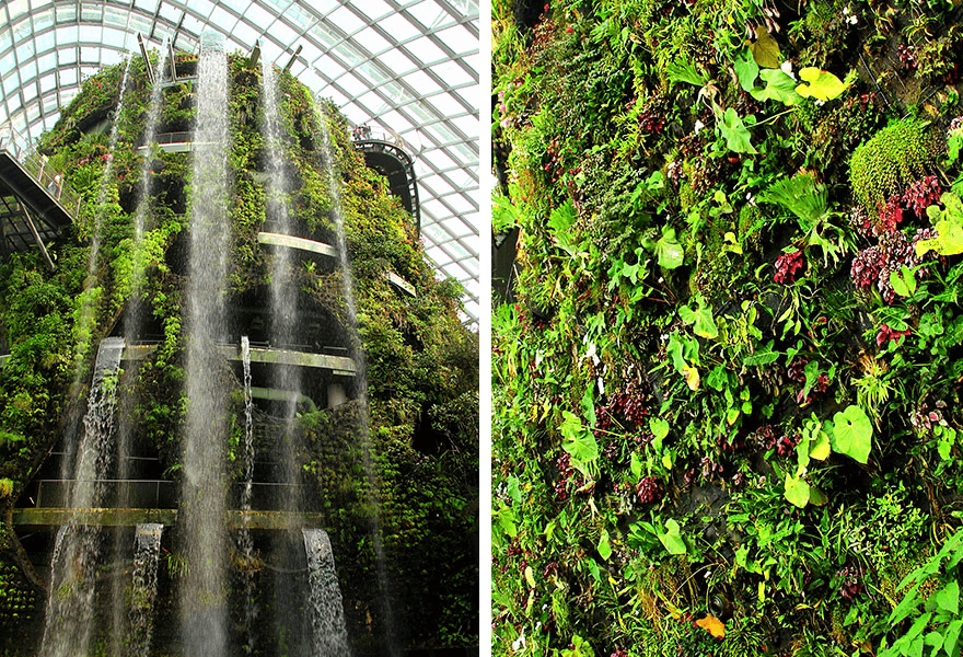 Singapore, Gardens by the Bay, Cloud Forrest