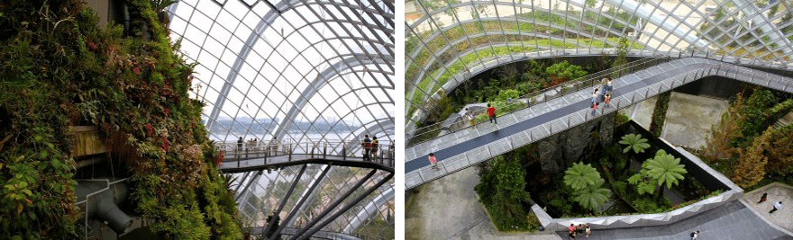 Singapore, Gardens by the Bay, Cloud Forrest