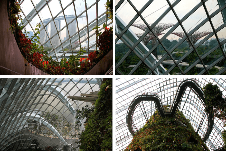 Singapore, Gardens by the Bay, Cloud Forrest