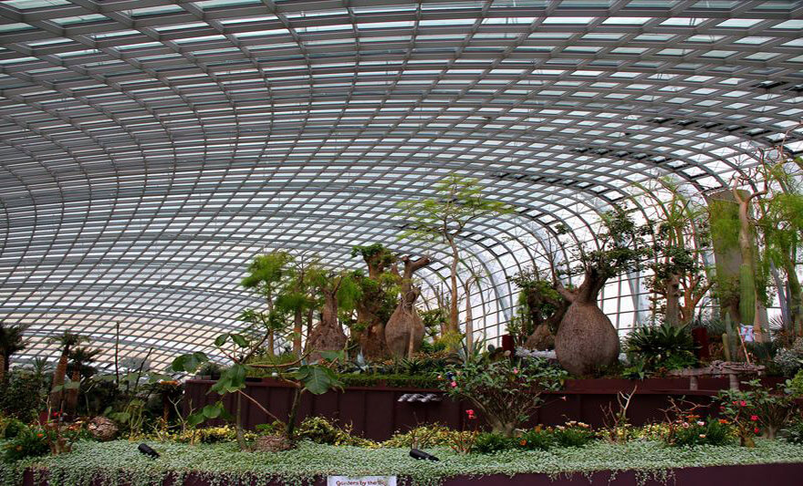 Singapore, Gardens by the Bay,Flower Dome