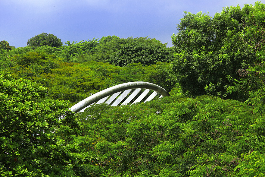 Singapore,Hilltop Walk