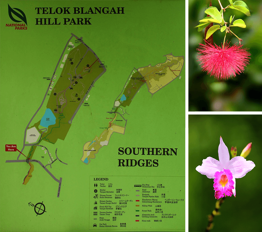 Singapore,Hilltop Walk